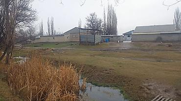 Продажа коттеджей и домов: Продается дом с участком 22 сотко. Адрес село Буденовка улица Пушкин — 4