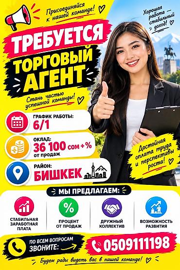 Вакансия: Торговый агент Локация: Бишкек Условия: - График работы at lalafo.kg Вакансия: Торговый агент Локация: Бишкек Условия: - График работы
