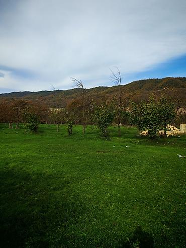 Torpaq sahələrinin satışı: Kənd təsərrüfatı — 2