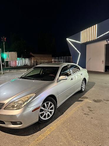 Lexus: Lexus ES: 2004 г., 3.3 л, Автомат, Газ, Седан — 6