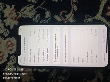 телефоны на запчасти: IPhone 11 Pro Max, Б/у, 256 ГБ, Space Gray, Чехол, Кабель, 80 %