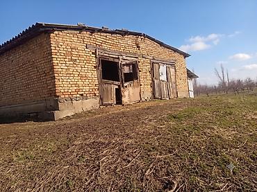 Батирлер: 🏡 Продаётся жилой дом с кошарой на участке 51,86 сотки 📍 Московский — 2