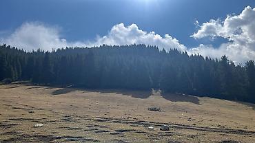 Такси: Минивэн, Пункт назначения: Каракол, Количество мест: 6 — 32