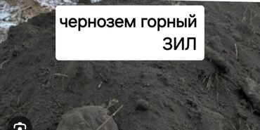 оптом овощи: В тоннах, Бесплатная доставка, Зил