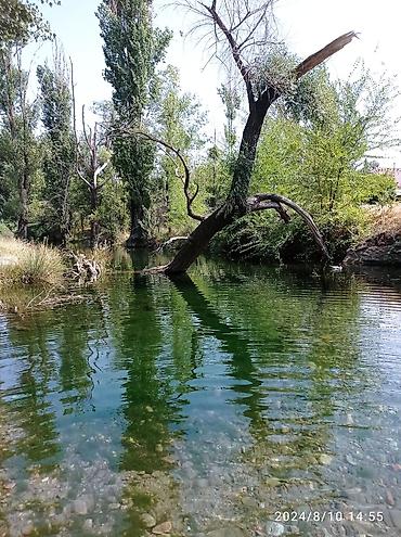 услуги флориста: Уборка территории уход за огородом за дачей, уборка 🌿трав, Мойка — 2