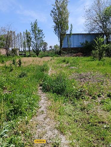 квартира берилет аламедин 1: 3 бөлмө, 50 м², 8 соток, Дачное (ГЭС-5), Менчик ээси — 2