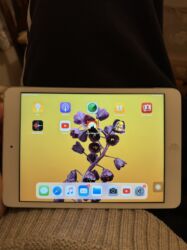 Mətbəx texnikası: Ipad mini 2
batareyasinda problem var, herden yanir, sonra tez sonur