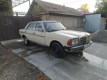 Mercedes-Benz W123: 1982 г., 2.5 л, Механика, Дизель, Седан