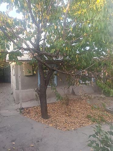 4: Продается дом, саман 4 сотки 3- комнаты Водоснабжение — центральное — 7