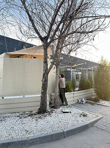 Побелка: Побелка стен, Побелка потолков, Наружная побелка | Известковая побелка, Мелковая побелка Больше 6 лет опыта — 13