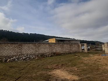 Torpaq sahələrinin satışı: 10 sot, Tikinti — 8