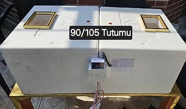 İnkubatorlar: 50 yumurta, Azərbaycan, Bütün növ quşlar üçün, Zəmanət ilə, Azərbaycan dilində təlimat — 5