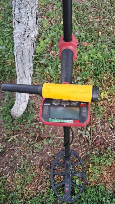помощник парикмахерская: Металлоискатель, Minelab