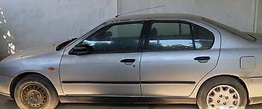 mini canta: Nissan Primera sedan ili 2001 - Korpus: 4 qapılı sedan, gümüşü rəng - — 4