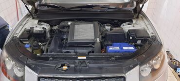 Hyundai: Hyundai Santa Fe: 2 l | 2007 il Krossover — 4