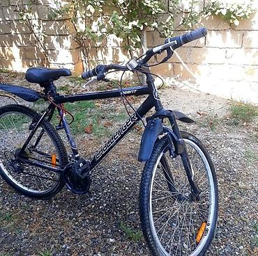 Велосипеды: Challenger Agent dağ velosipedi - Çərçivə: polad, 26" təkər ölçüsü — 2