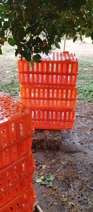 Akvarium aksessuar və ləvazimatları: Təcili satılır.6 ədədi 240manat — 4