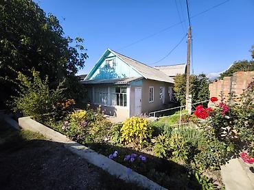 Продажа отелей и хостелов: Продается ухоженная усадьба с двумя домами и плодоносящим садом в — 11