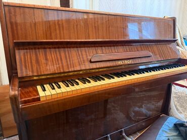 Çaydanlar: Piano, Petrof, Akustik