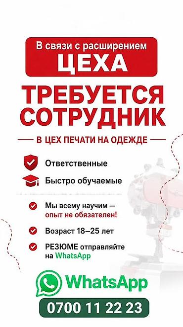 motion designer: Шелкограф, Район: Кара-Жыгач ж/м, График работы: Гибкий график, Опыт работы: Без опыта, Не студент — 1