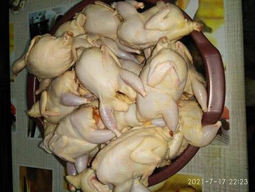 стоимость перепелиных яиц: Мясо перепелиное в Бишкеке перепелиные яйца