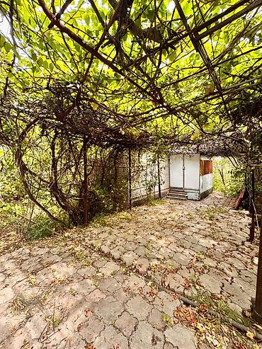 Продажа дач: Продается Дача Село Чон Далы выше Новопокровки Ысык Атинский Район 5 — 9