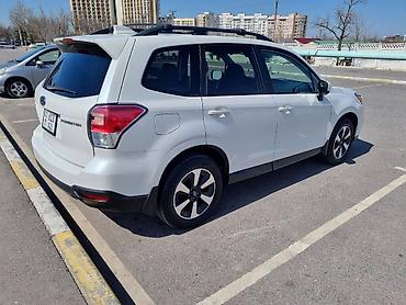 forester: Subaru Forester: 2018 г., 2.5 л, Вариатор, Бензин, Внедорожник — 3