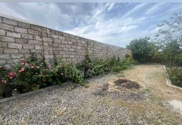 masallida torpaq: 12 sot, Tikinti, Mülkiyyətçi, Kupça (Çıxarış)