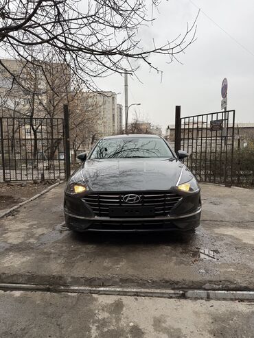 Hyundai: Hyundai Sonata: 2019 г., 2 л, Газ — 1
