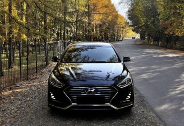 сдаю авто в аренду хундай соната: Ижарага берем Hyundai Sonata, Бир аптага, Айдоочусуз, | Күрөө, Айдоочулук күбөлүгүк, Башка шарттар