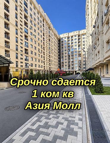 Батирлер: 1 бөлмө, Азия Молл Кыймылсыз мүлк агенттиги, Жаныбарлары жок, 6 айдан баштап, 1 жылдан баштап — 1