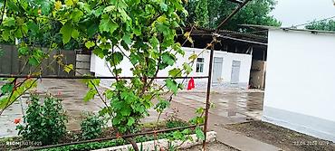 квартира 2 к: Продаётся дом с большим приусадебным участком. - Кирпичный дом и — 3