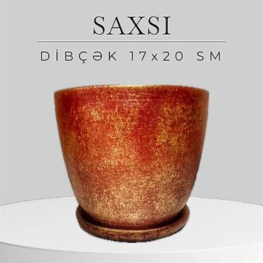 Bitki torpaqları: SAXSI DİBÇƏKLƏR 1 ededi 40 — 6
