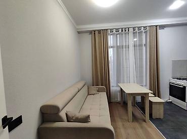 home: 1 комната, 43 м², Филармония Элитка, 9 этаж, Дизайнерский ремонт — 4