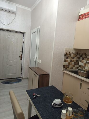 Otaqların satışı: Satılır: zövqlə təmir olunmuş mənzil interyeri - Geniş qonaq otağı — 18