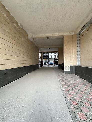67: 2 комнаты, 67 м², КНУ Элитка, 6 этаж, Евроремонт — 10