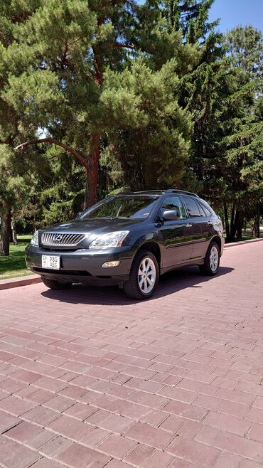 Lexus: Lexus RX: 2009 г., 3.5 л, Автомат, Бензин, Кроссовер