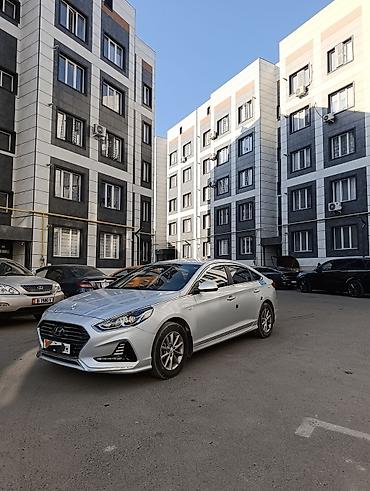 highlander 2012: Hyundai Sonata: 2019 г., 2 л, Автомат, Газ, Седан — 3
