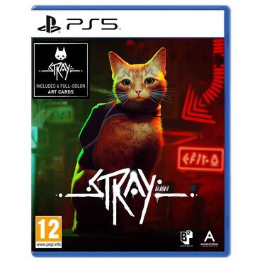 PS5 (Sony PlayStation 5): Потерявшемуся, одинокому, оторванному от семьи бродячему коту