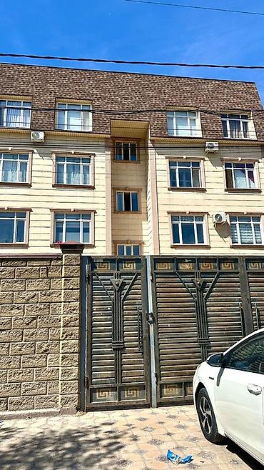Ковровые дорожки: Ковровая дорожка Синтетика, Восточный — 16