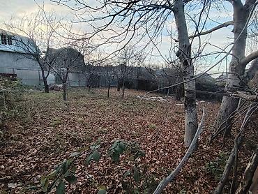 Torpaq sahələrinin satışı: 3 sot, Tikinti, Mülkiyyətçi, Kupça (Çıxarış) — 6