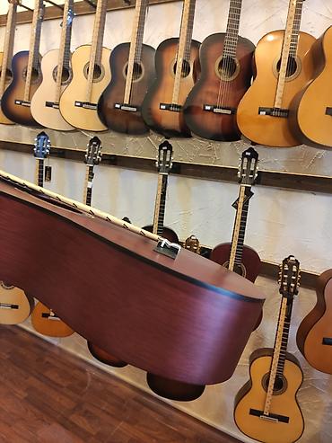 gitara akustik: Valencia vc203twr klassik gitara simlərin sayı: 6 üst:sitka spruce — 3