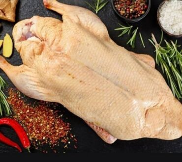 продаю кур: Продаю ДОМАШНЕЕ, НАТУРАЛЬНОЕ мясо птицы : утки, куры, гуси, индюки