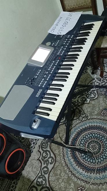 ana sozu kitabi pdf: Korg PA800 aranjer klaviatura - 61 klavişli, aftertouch dəstəyi - — 1