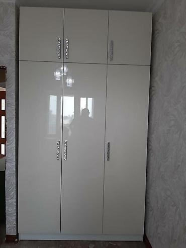 Мебель на заказ: Мебель на заказ, Шкаф — 11