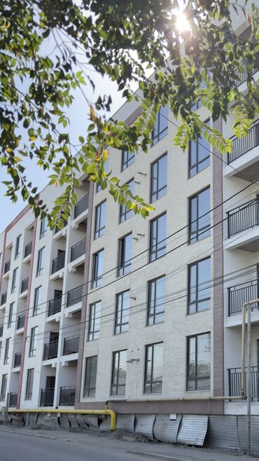 сдаются квартира без хозяина: 1 комната, 46 м², Индивидуалка, 4 этаж, ПСО (под самоотделку)