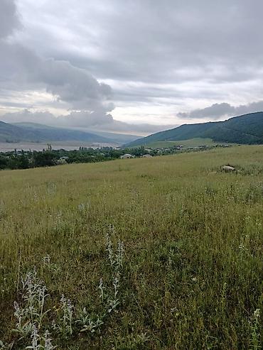 bartee: 300 sot, Kənd təsərrüfatı, Barter mümkündür, Kupça (Çıxarış) — 2