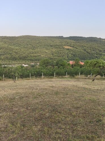 xacmaz torpag: 40 sot, Tikinti, Mülkiyyətçi, Kupça (Çıxarış)