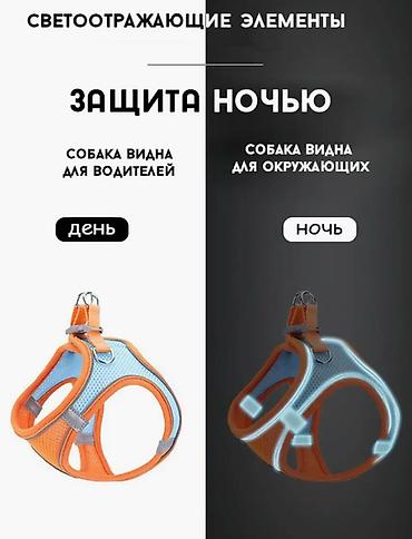 для собак: Светоотражающая шлейка для кошек и собак с поводком для прогулки — 7