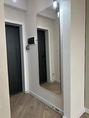 Продажа квартир: 1 комната, 30 м², Индивидуалка, 10 этаж, Евроремонт — 4